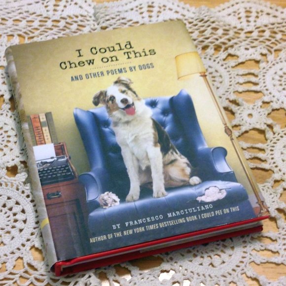 Pet Humor, I could Chew On This. What dogs think.....? - Picture 1 of 9